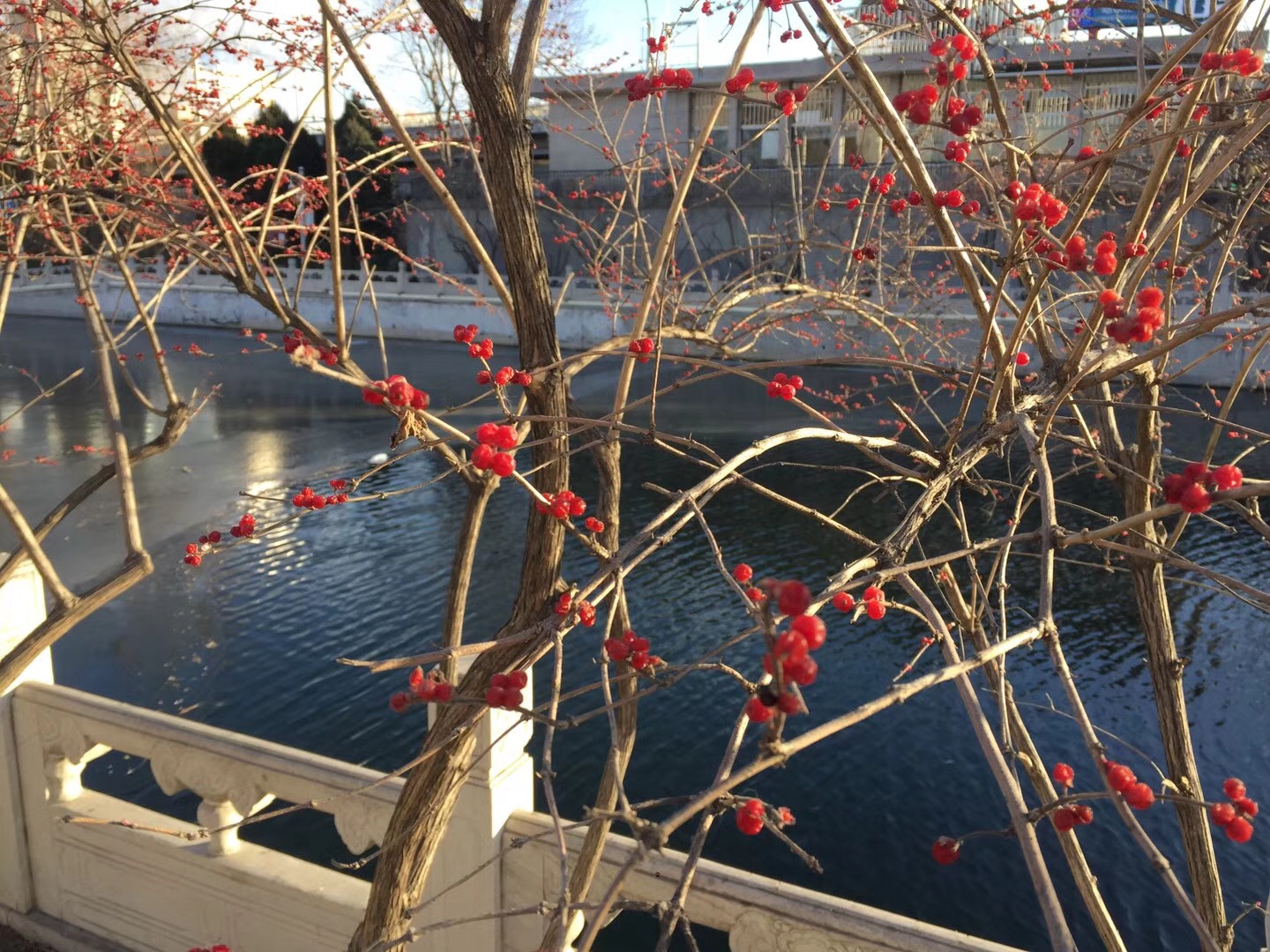 北京起名網 北京起名 北京寶寶起名